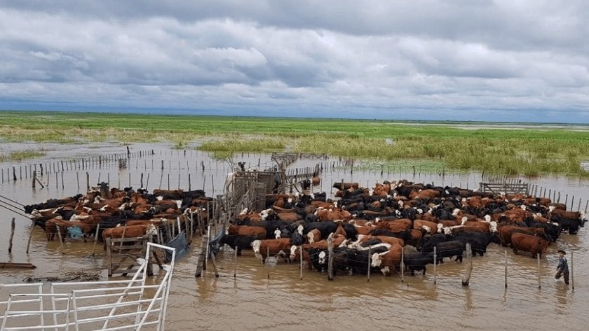 La Sociedad Rural Argentina señaló en las últimas horas por medio de un comunicado, que las inundaci