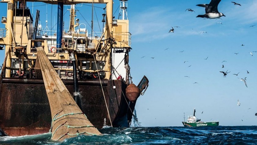 Diputados bonaerenses aprobaron un proyecto que repudia las nuevas restricciones de pesca en Islas M