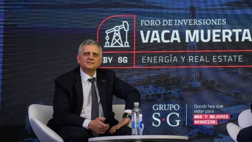 Horacio Marín, sobre el proyecto RIGI de YPF: 